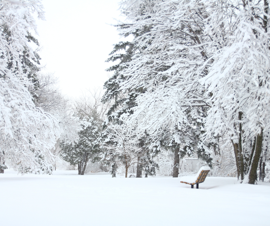 Winter Home Maintenance